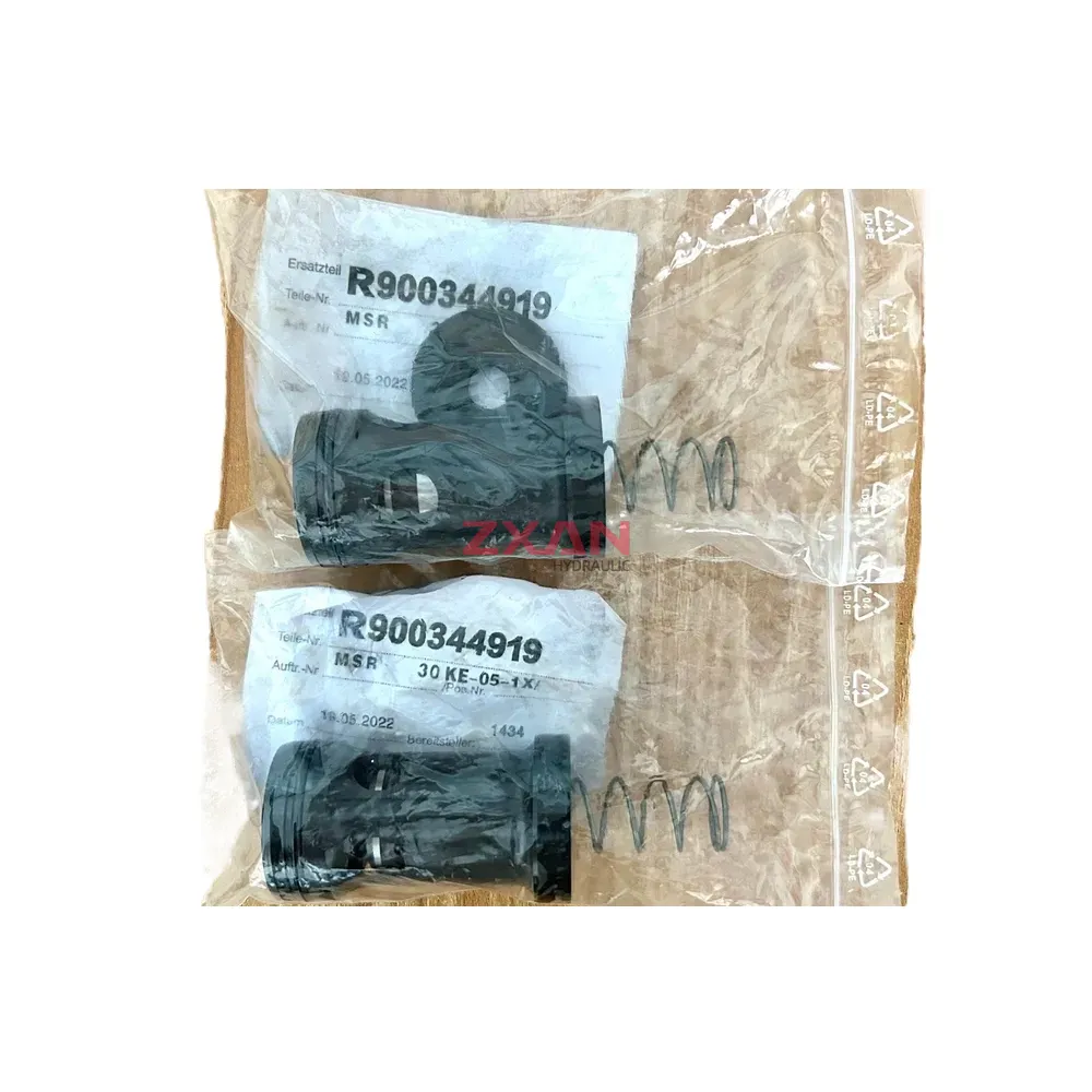 Rexroth R900344919 M-SR30KE05-1X/