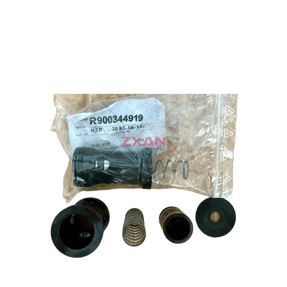 Rexroth R900344919 M-SR30KE05-1X/
