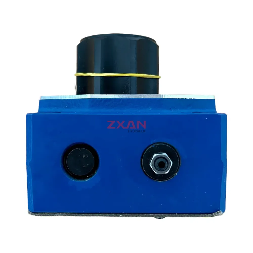 Rexroth R900423261 2FRM10-31/50LB