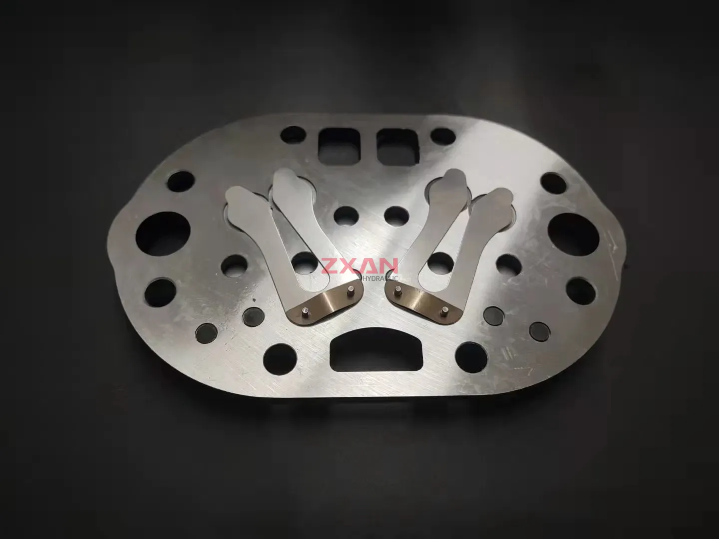 Bitzer 30405202-desc4 Bitzer 30405202