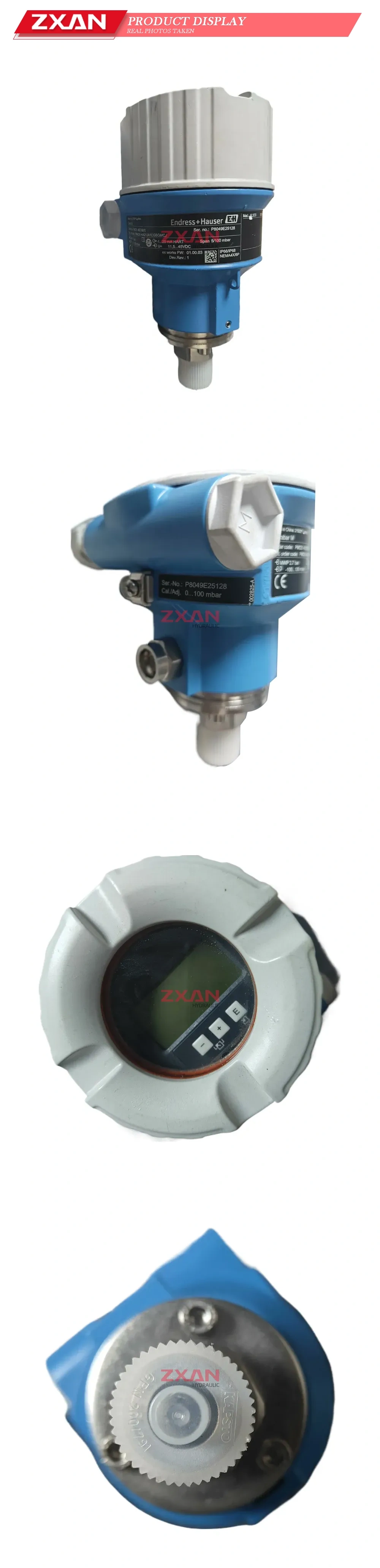 ENDRESS+HAUSER PMC51-AA21JA1CGBGMCJ Description