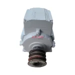 Siemens 1LA7106-4AA10