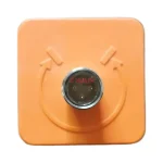 IFM IM5117