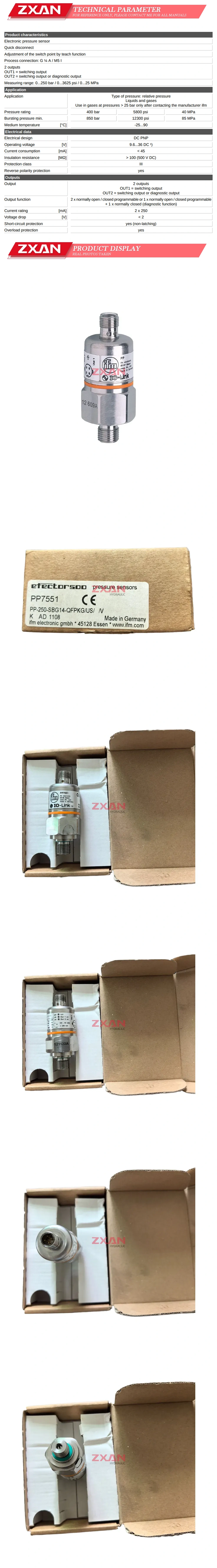 IFM PP7551 Description