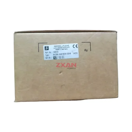 Pepperl+Fuchs RHI58N-0AAK1R61N-02048