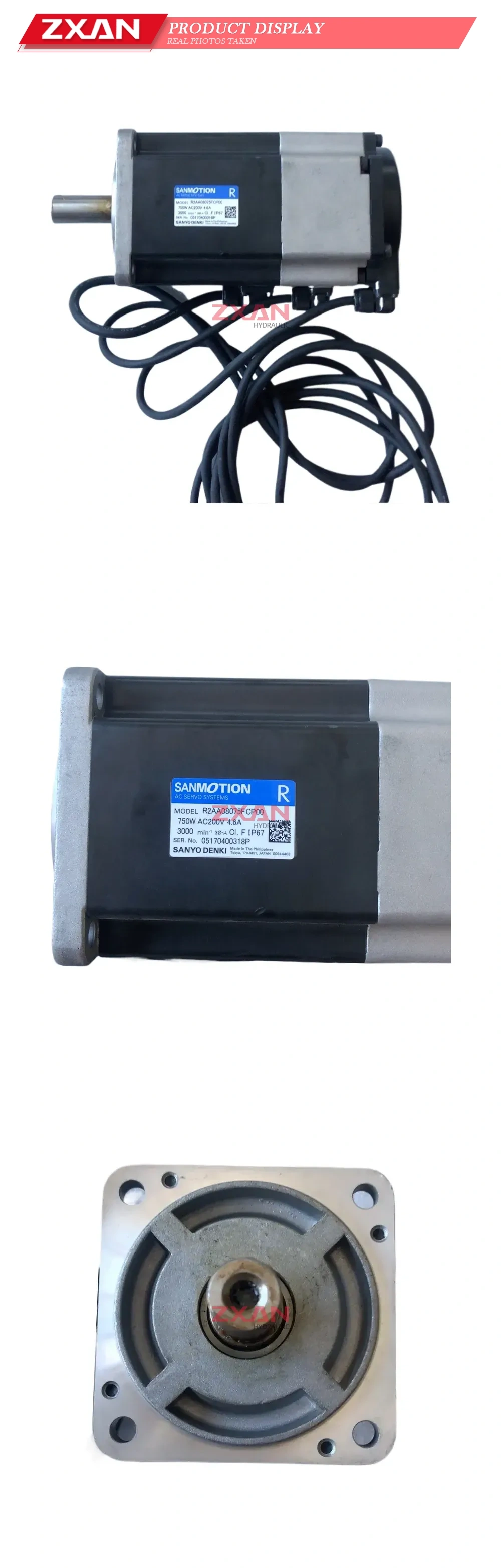 SANYO R2AA08075FCP00 Description