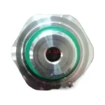 Telemecanique XMLP250MD21F