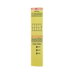 ABB BSR23 Sentry Safety Relay