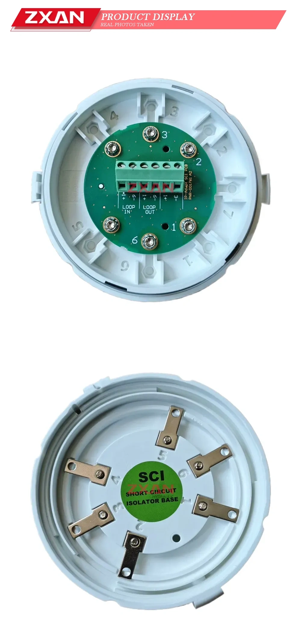 Consilium IP-ADAPT SCI Detector base Description