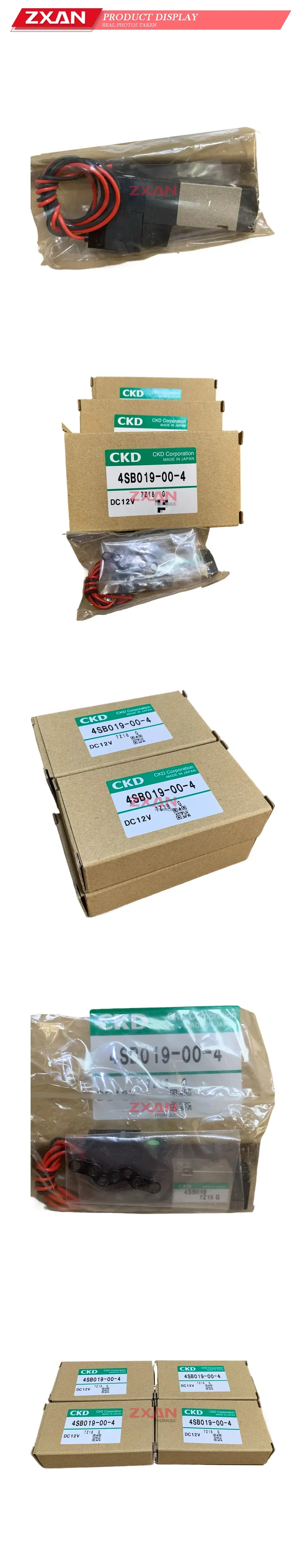 CKD 4SB019-00-4 Description