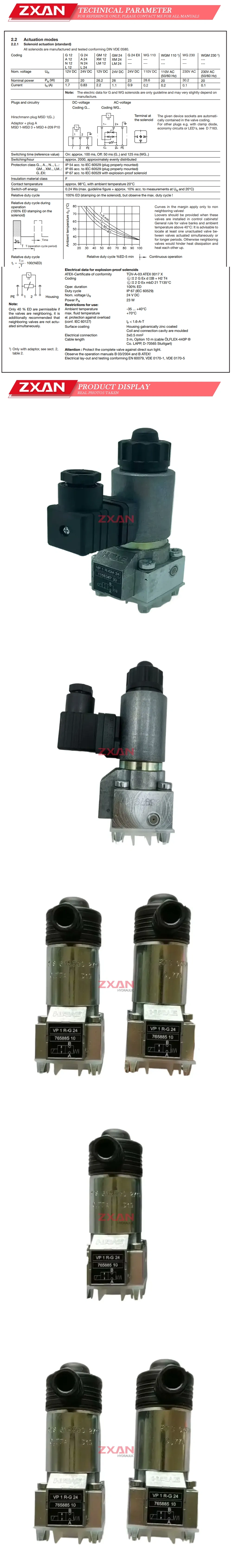 HAWE VP1R-G24 Description