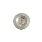 VEGAWELL 52a Liquid level probe
