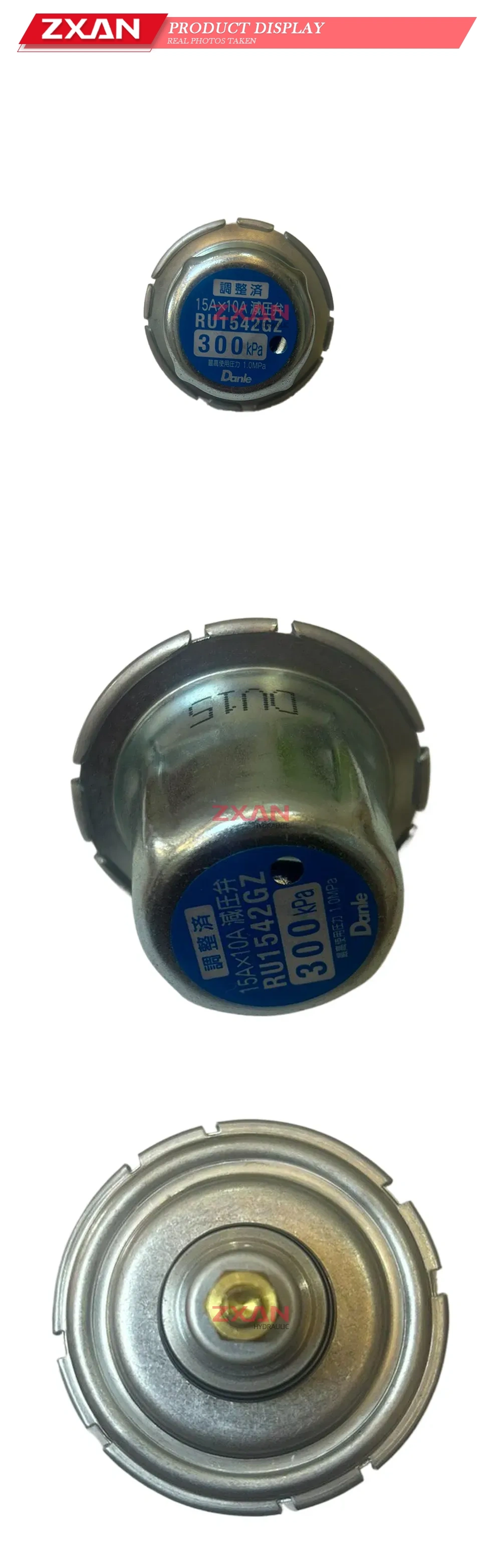 Danle RU1542GZ Pressure Reducing Valve Diaphragm Assembly Description