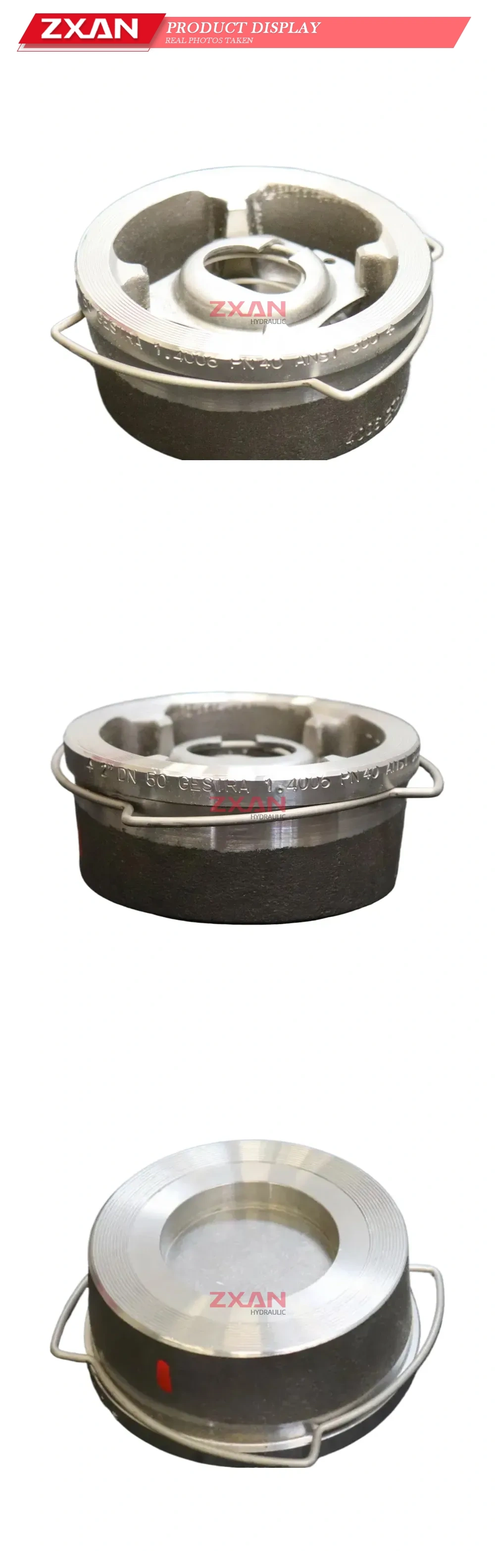 GESTRA DN 50 Check Valve Description