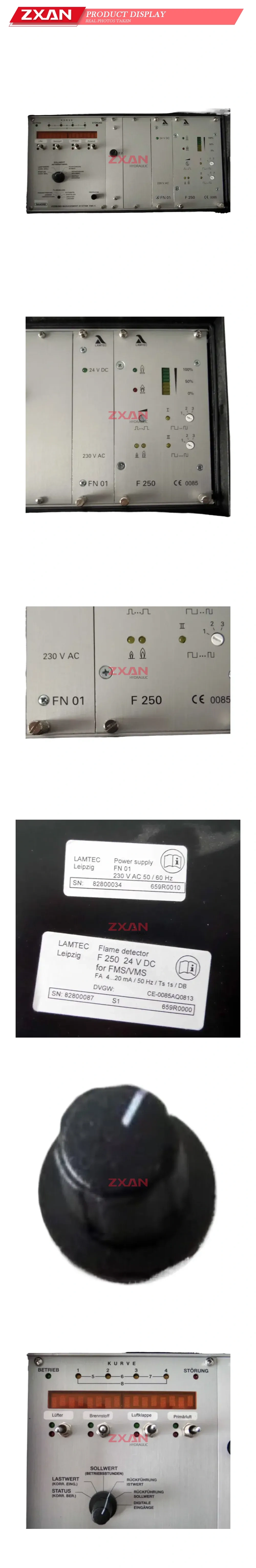LAMTEC F 250 / FN 01 Flame Detector and Power Supply Module Description