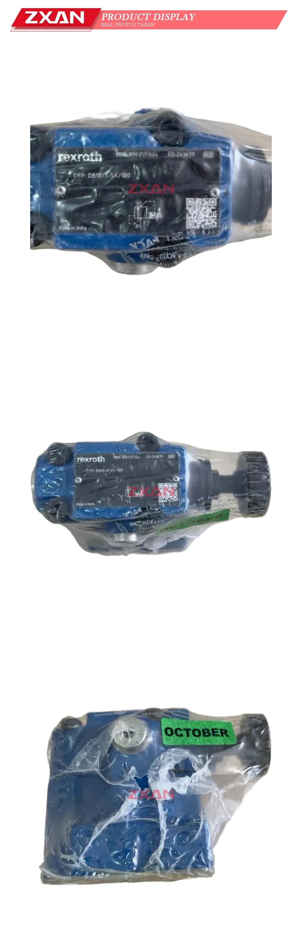 Rexroth DB10-1-5X/100 Hydraulic Pressure Relief Valve Description