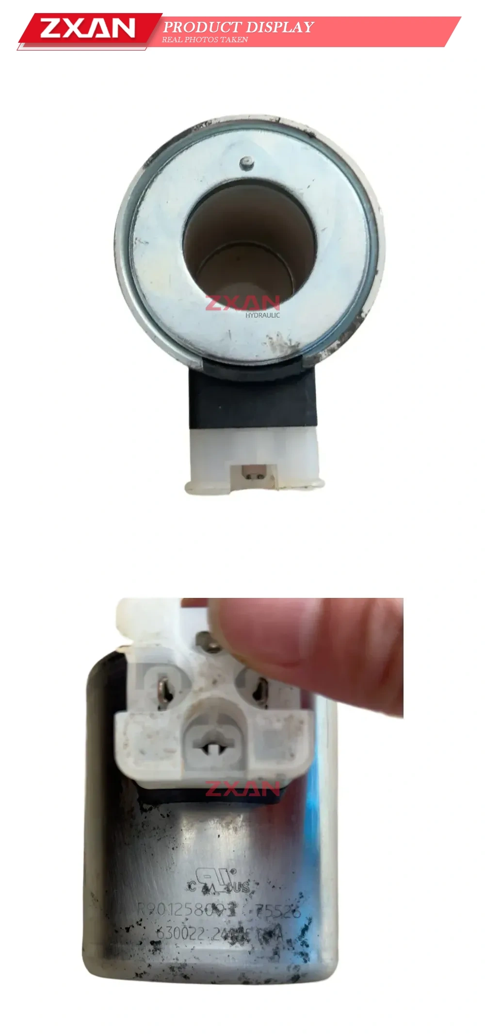 Rexroth R901258093 Solenoid Coil Description