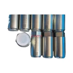 Rexroth R901454065 Hydraulic Cartridge Check Valve