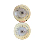Tyco Safety Products 601FEx-M Conventional IS Flame Detector