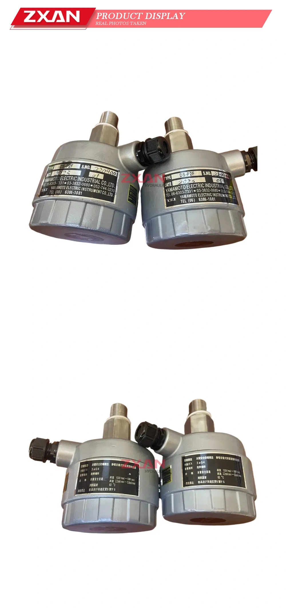 Yamamoto Electric DS-P2F Capacitance Type Pressure Liquid Level Detector Description