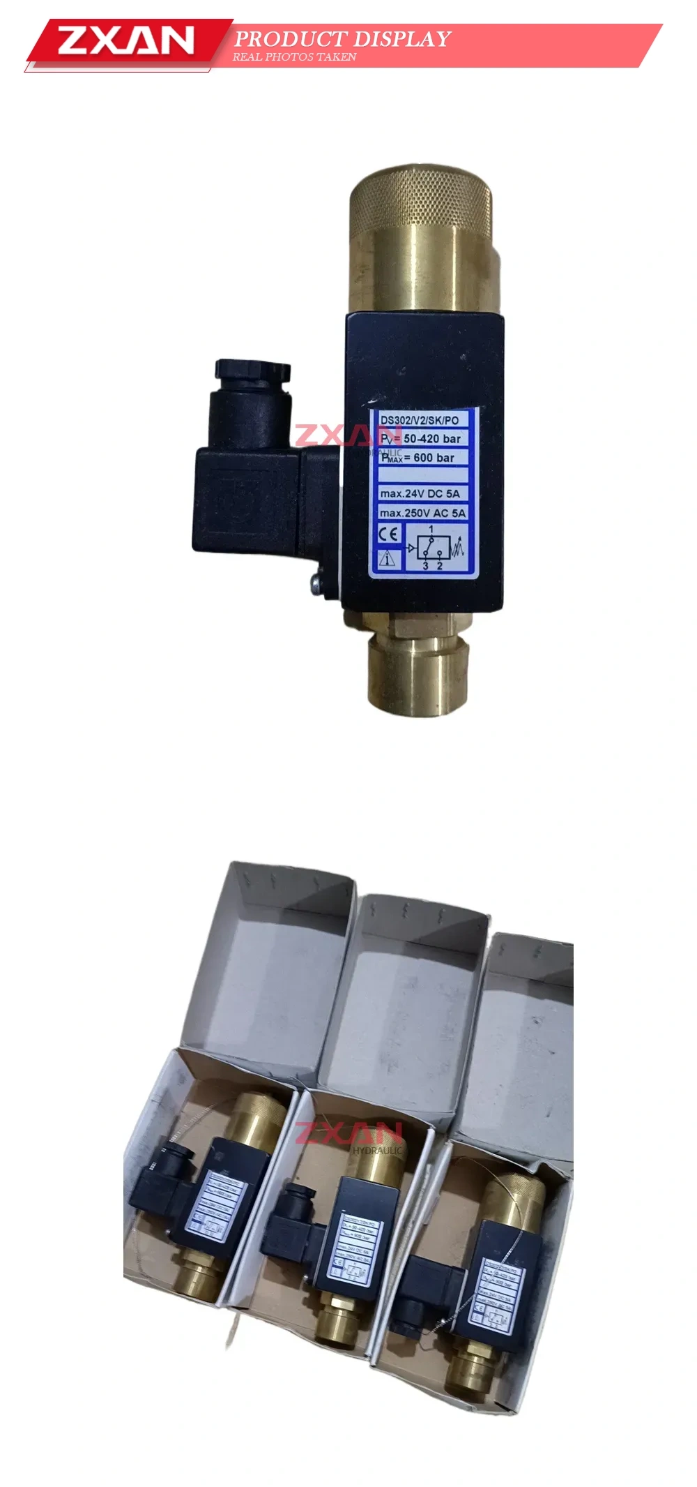 DS302/V2/SK/PO Hydraulic Pressure Switch Description