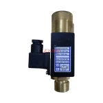 DS302/V2/SK/PO Hydraulic Pressure Switch