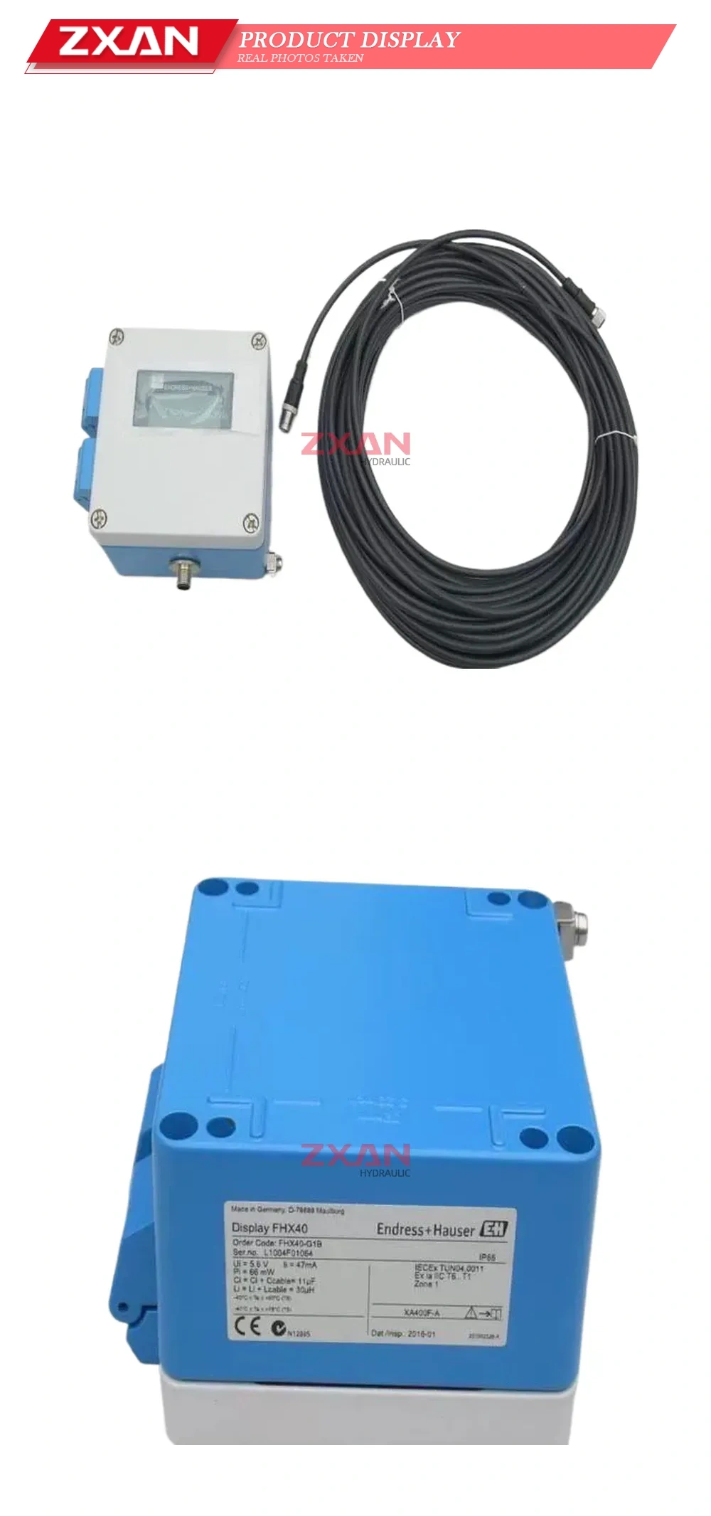 Endress+Hauser FHX40-G1B Remote Display Unit Description