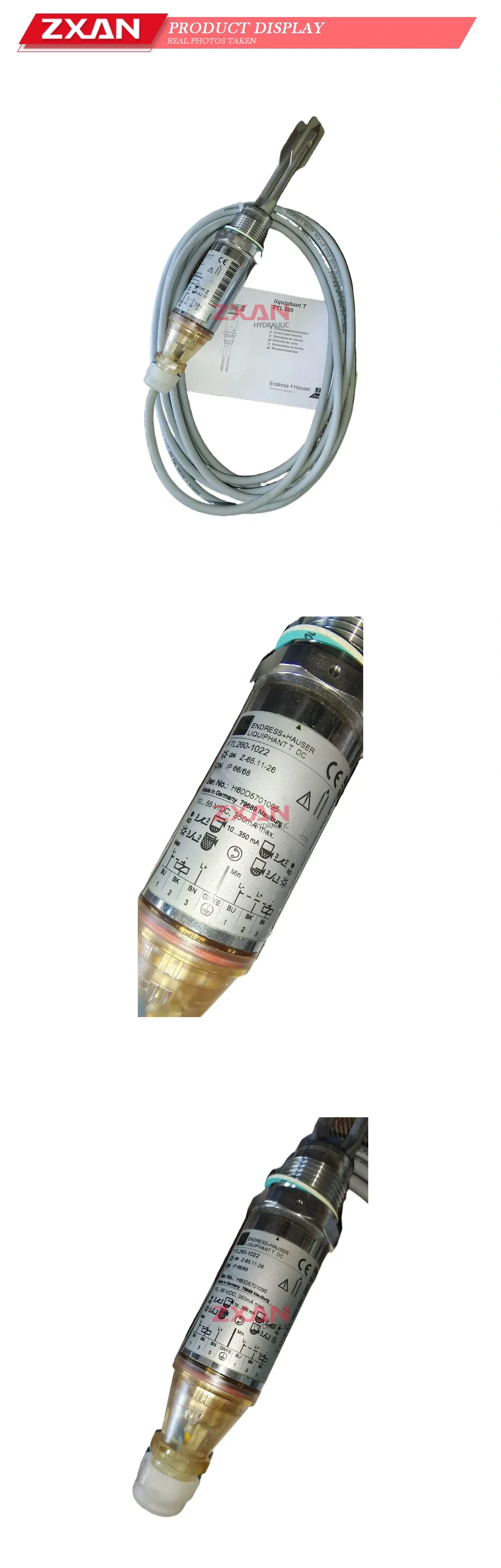 Endress+Hauser FTL260-1022 Level Limit Switch Description