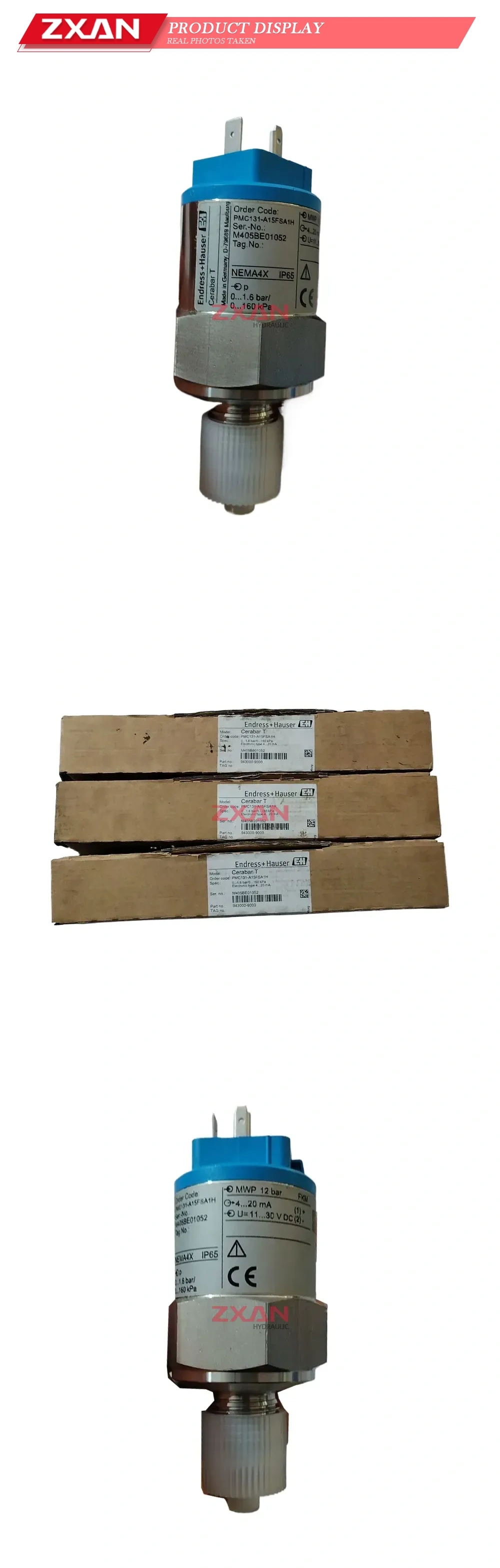 Endress+Hauser PMC131-A15FSA1H Pressure Transmitter Description