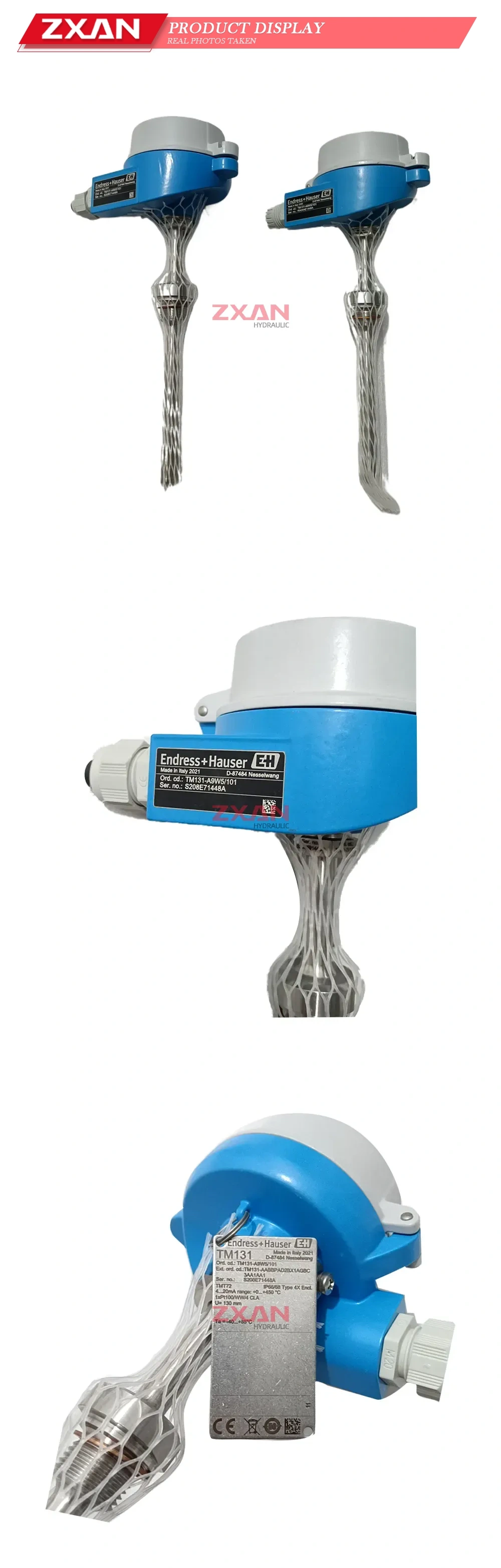 Endress+Hauser TM131 Temperature Transmitter Description