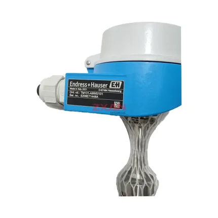 Endress+Hauser TM131 Temperature Transmitter