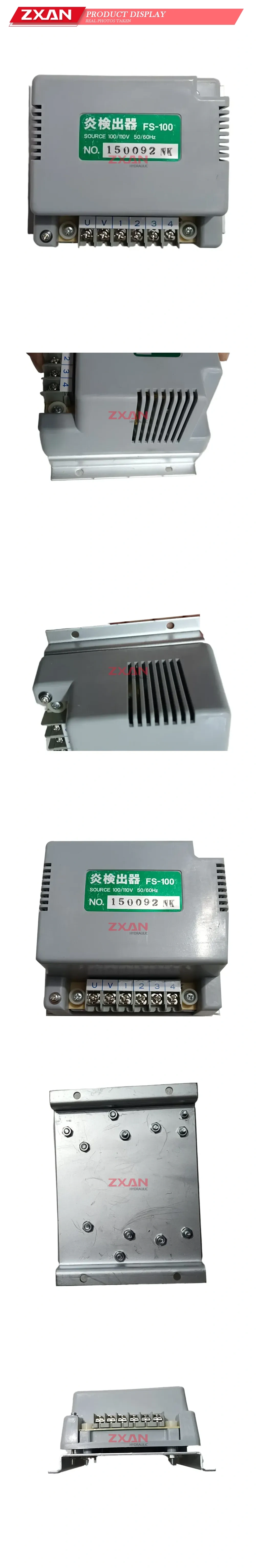 FS-100 Flame Detector Description