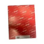 Flowserve NRS1-54 Flame Safety Control Unit