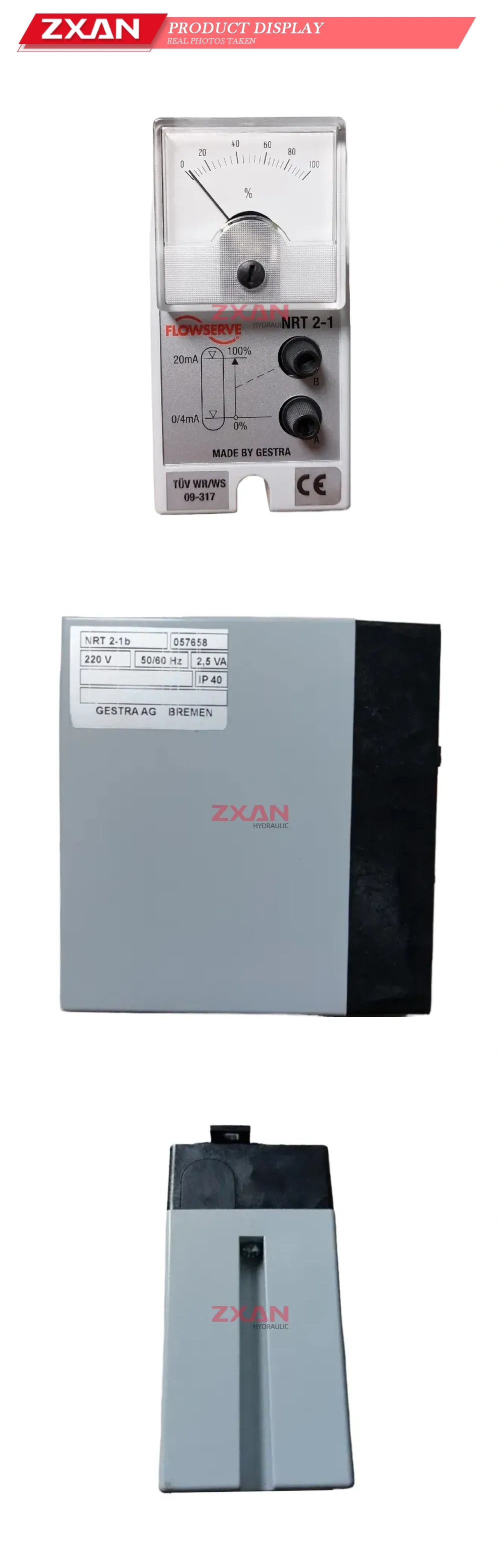 Flowserve NRT 2-1 Level Controller Module Description