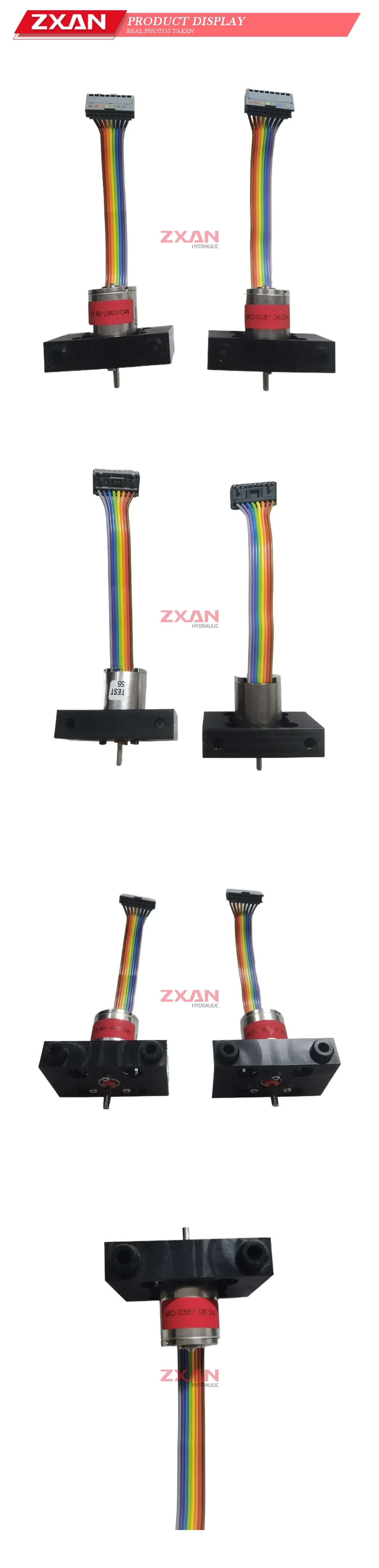 MO/0387-06 24 Rotary Encoder Description
