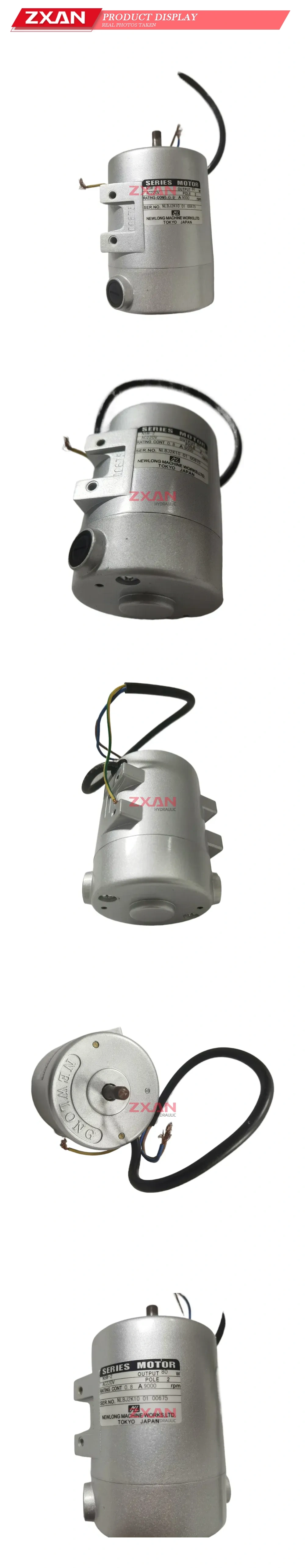 Newlong NSM-2 Series Motor Description