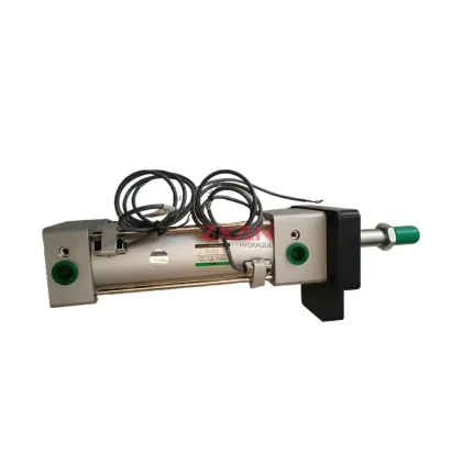 Pneumatic Cylinder with Magnetic Switch