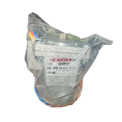 R6H4PE-D 1 Phase Induction Motor