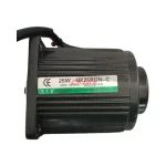 S.T.S 4IK25RGN-C AC Induction Motor