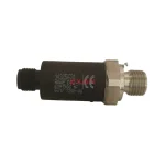 HAWE DT2-1 Hydraulic Pressure Switch