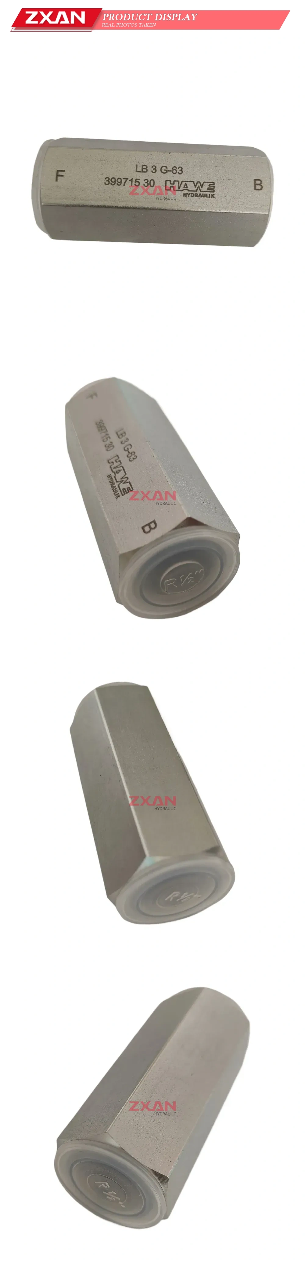 HAWE LB 3 G-63 Hydraulic Line Break Valve Description