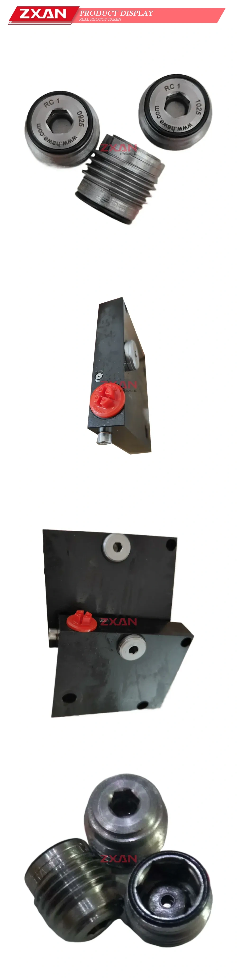 HAWE RC 1 Hydraulic Screw Plug Description