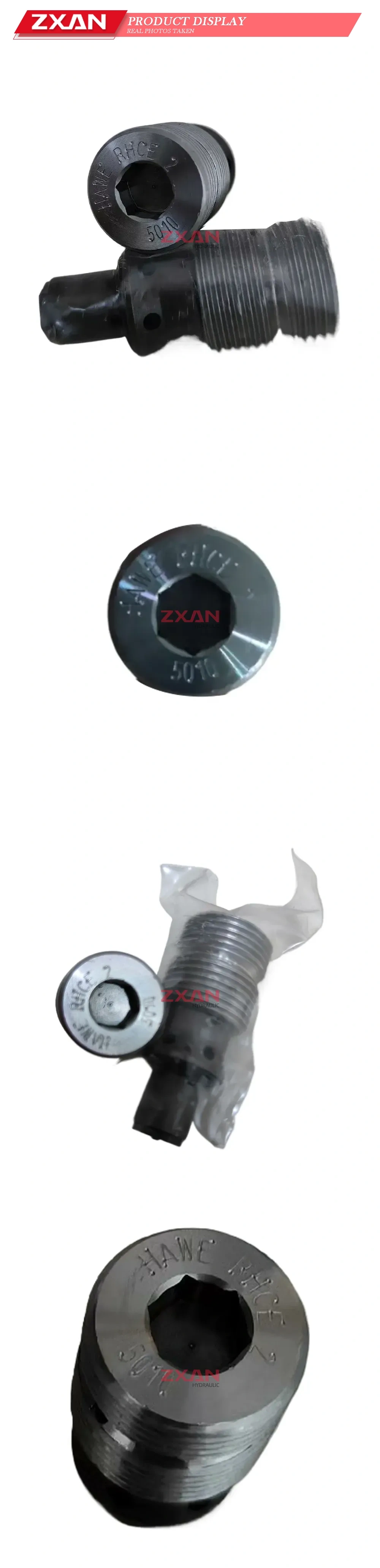 HAWE RHCE 2 Pilot Operated Check Valve Description