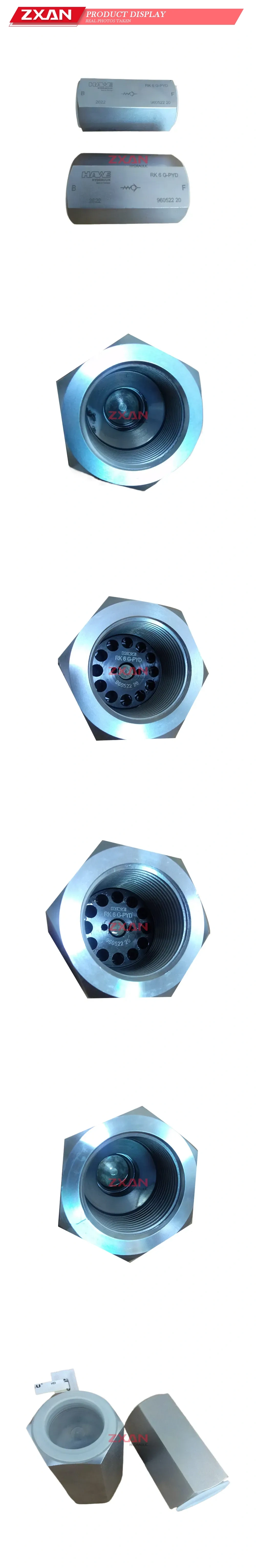 HAWE RK 6 G-PYD Hydraulic Check Valve Description