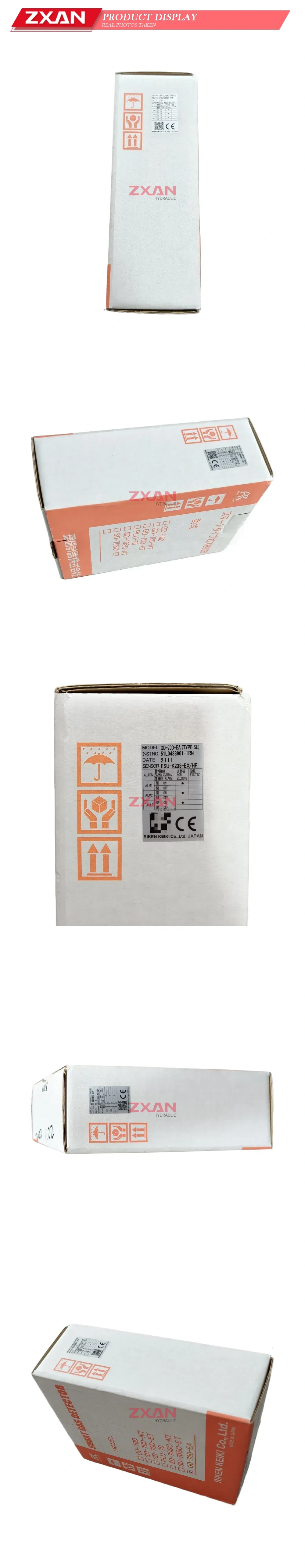 RIKEN KEIKI GD-70D-EA Summit Gas Detector Description