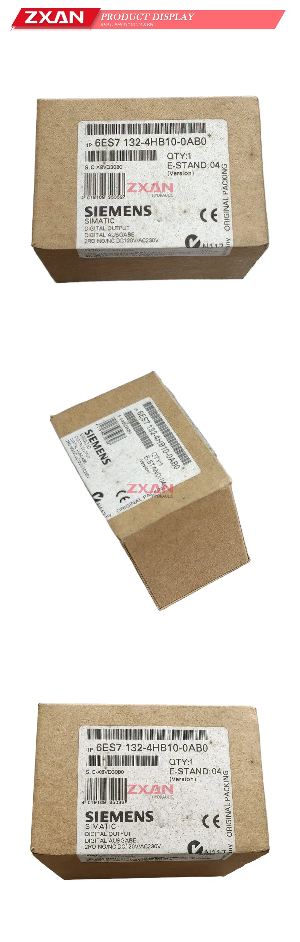 Siemens 6ES7 132-4HB10-0AB0 Digital Output Module Description