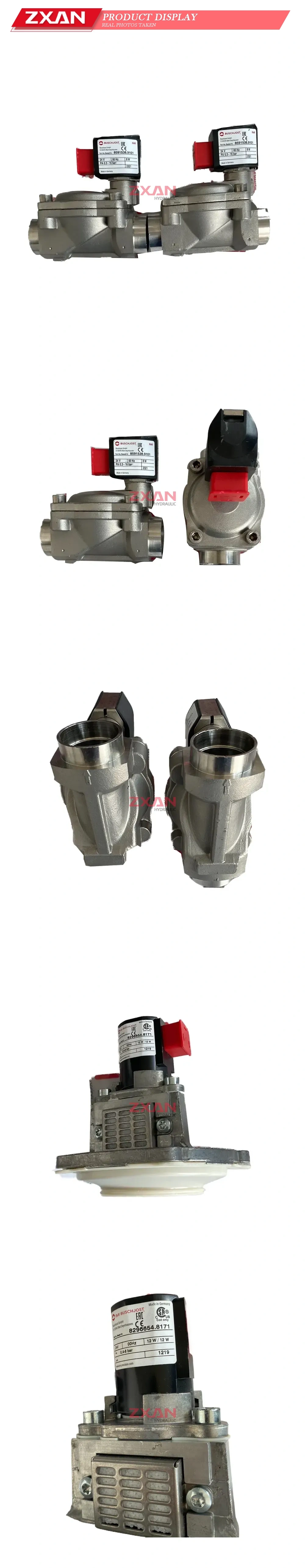 Buschjost 8591538.9101 Solenoid Valve Description