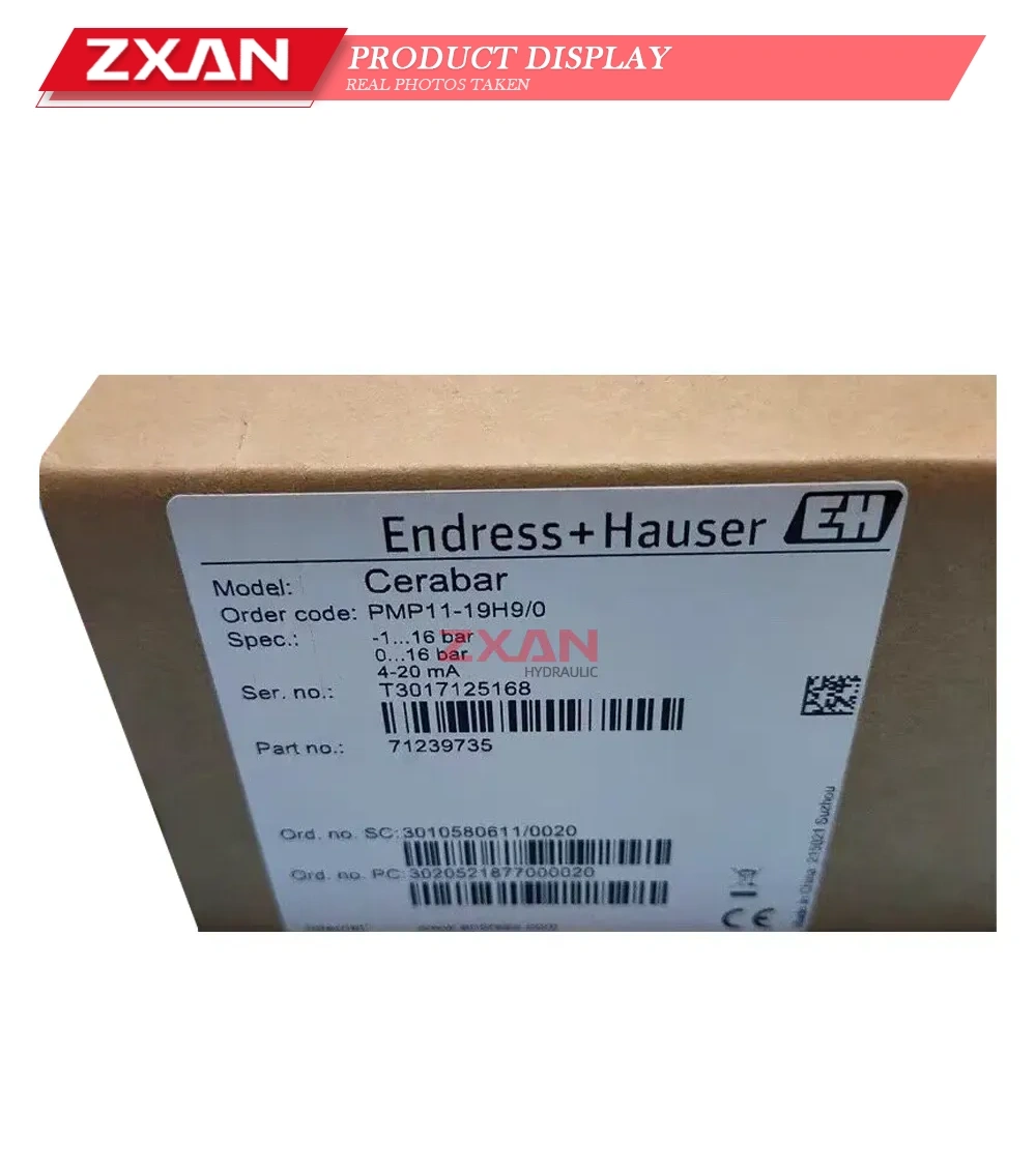 Endress+Hauser PMP11-19H9/0 Cerabar Pressure Transmitter Description