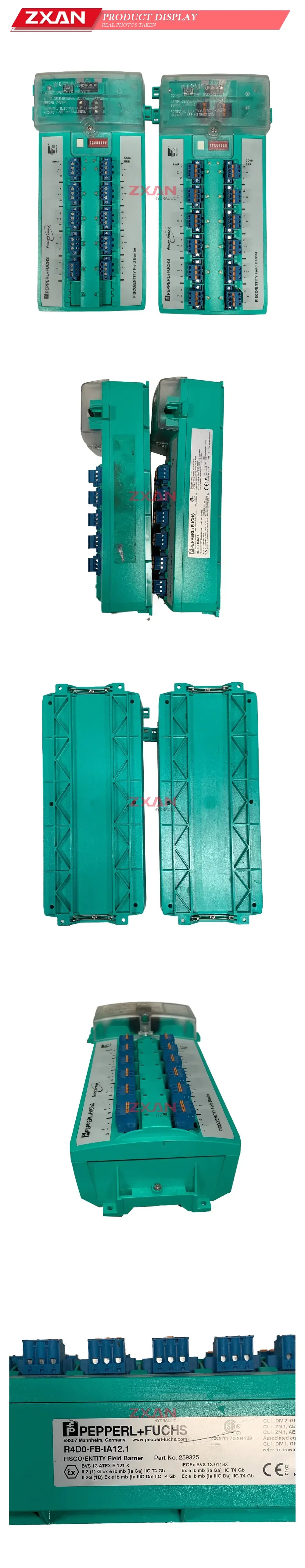 Pepperl+Fuchs R4D0-FB-IA12.1 FISCO/ENTITY Field Barrier Description