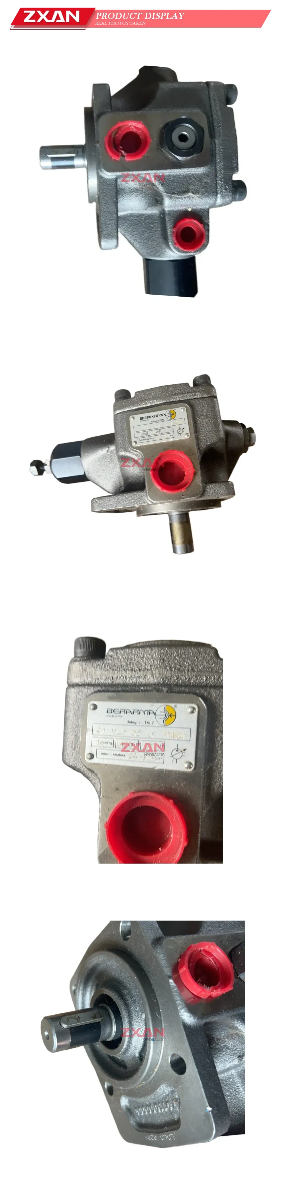 BERARMA 01 FLP 65 16 FHRM Variable Displacement Vane Pump Description